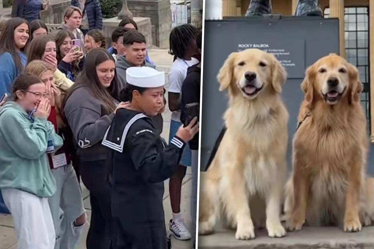 Golden Retriever posieren für Foto: Was dann passiert, raubt so vielen den Atem
