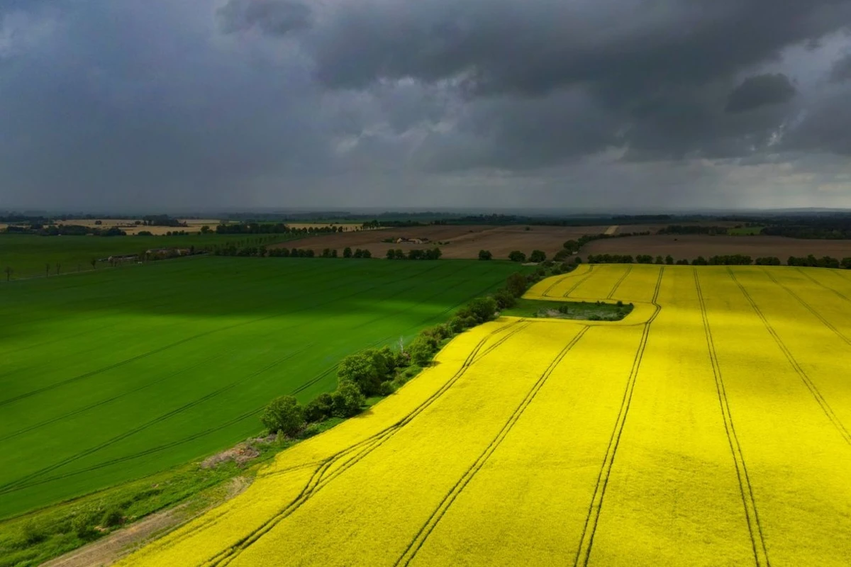 Temperatursturz, Regen und Schnee: Frühling drückt weiter auf Pause