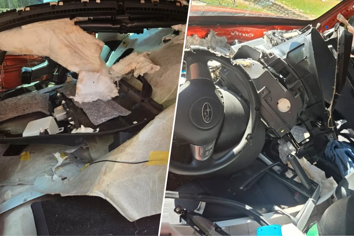 Familie entdeckt zerstörtes Auto: Als sie sieht, wer darin sitzt, wächst ihre Sorge