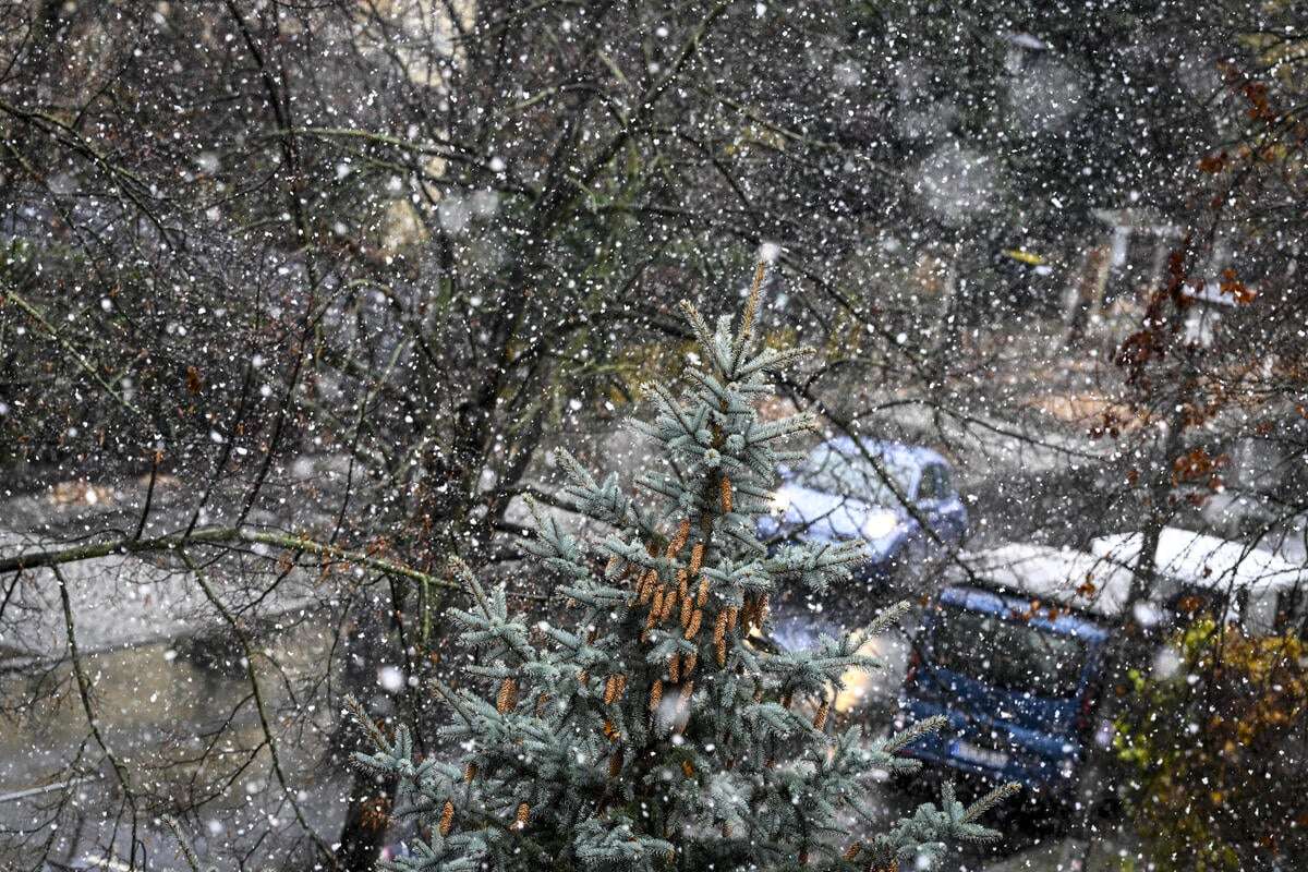 Schnee und Glättegefahr in Berlin und Brandenburg: So wird das Wetter im neuen Jahr!