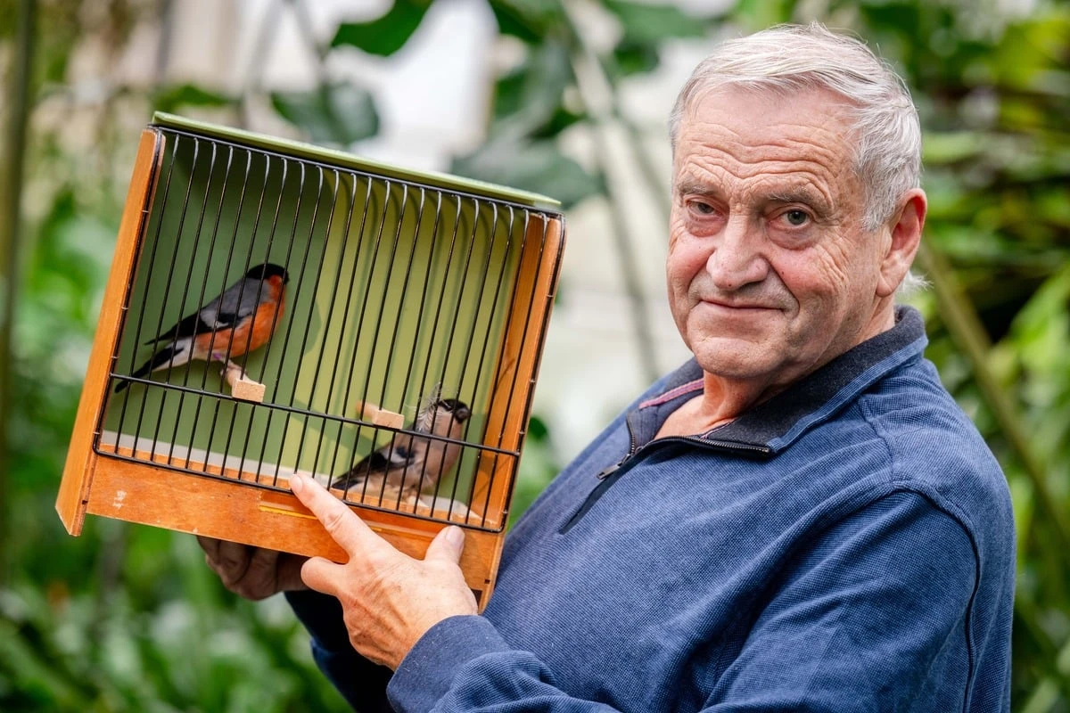 Ihr Hobby ist zum Piepen: Chemnitzer Vogel-Liebhaber laden zum großen Jubiläum