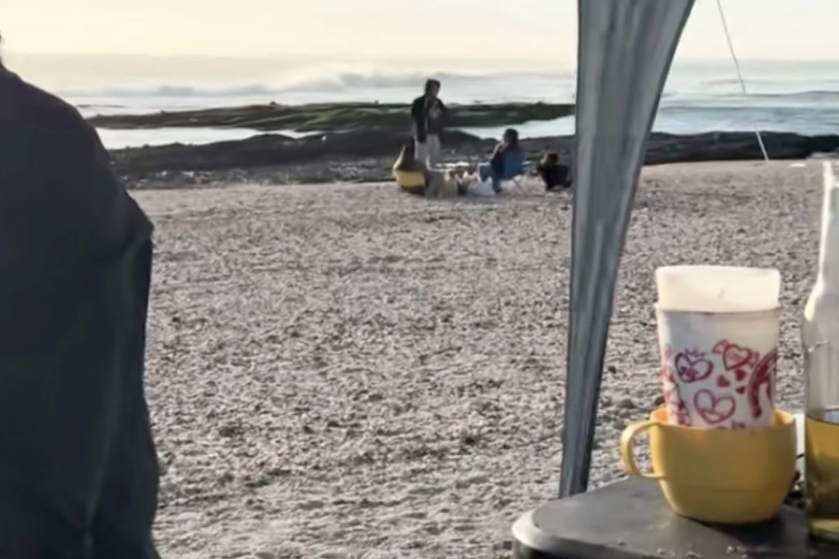 Frau verliert Hund am Strand: Wo sie ihn dann findet, sorgt für Lachtränen
