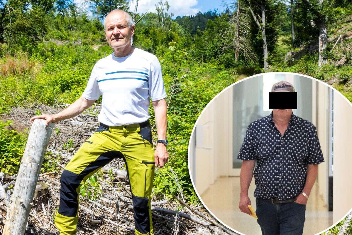 Viel Holz vor der Hütte! Landwirt verurteilt, weil er Nachbars Wald rodete