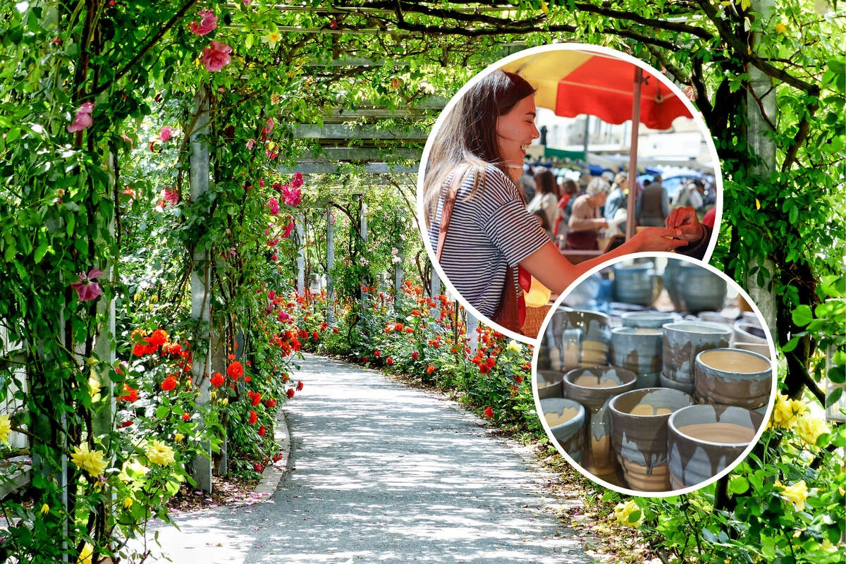 Für Hosenscheißer, Ladys und Hunde: Das erwartet Euch Sonntag in Dresden und Umgebung