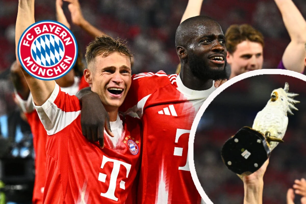 Schräge Vögel: FC Bayern feiert wieder mit Kakadu