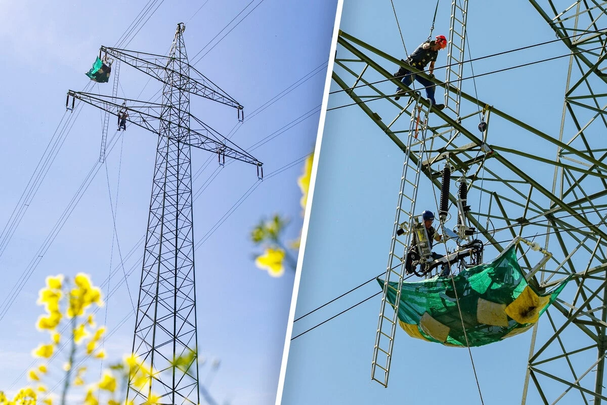 Voll unter Strom: Arbeiter in Gorbitz hängen in den Seilen
