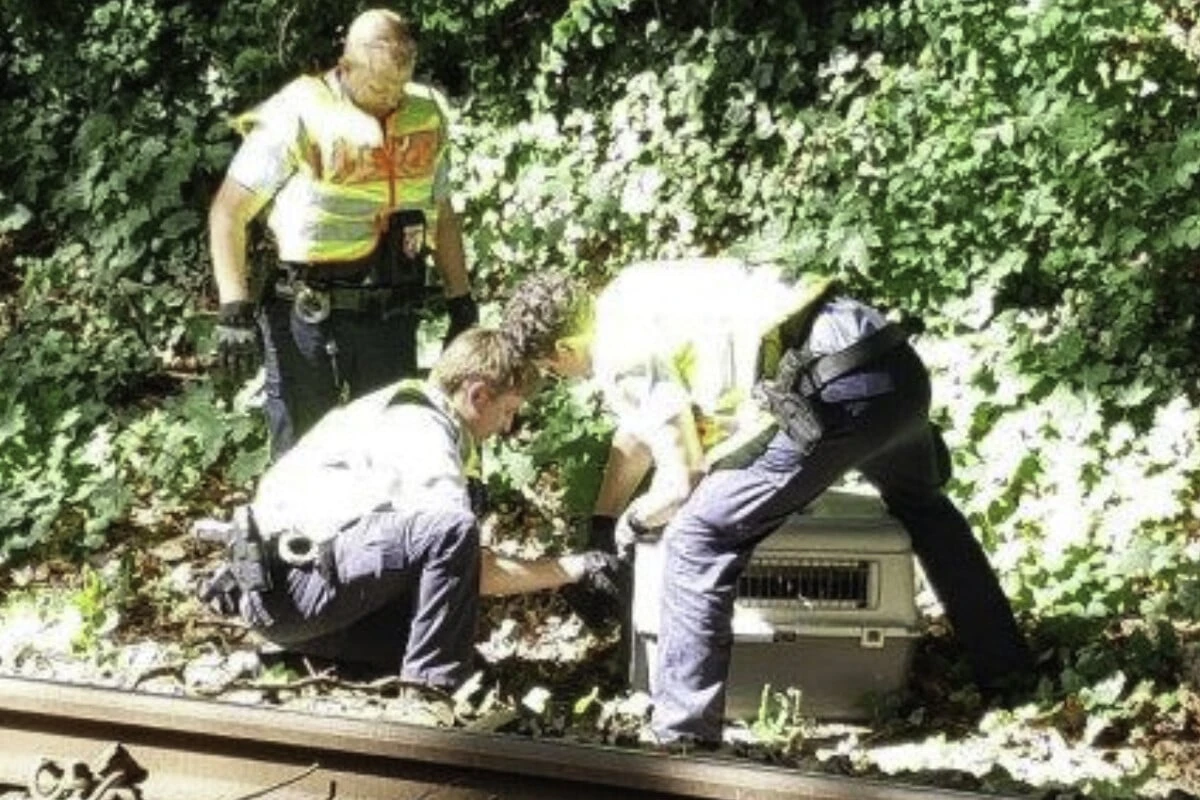 Tierischer Einsatz für die Bundespolizei: S-Bahn lahmgelegt