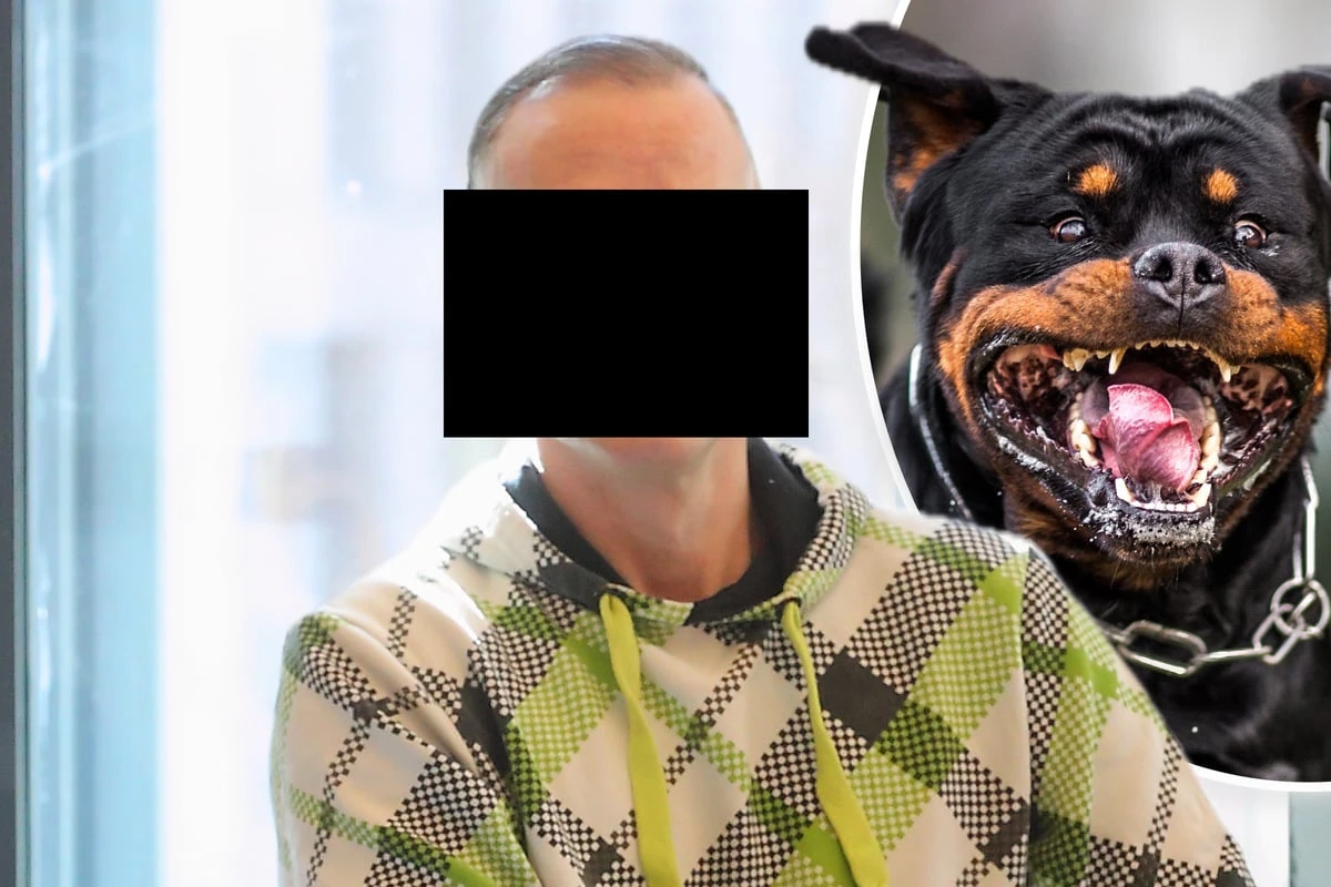 Lange Haft fürs Herrchen, Karriere für den Rottweiler