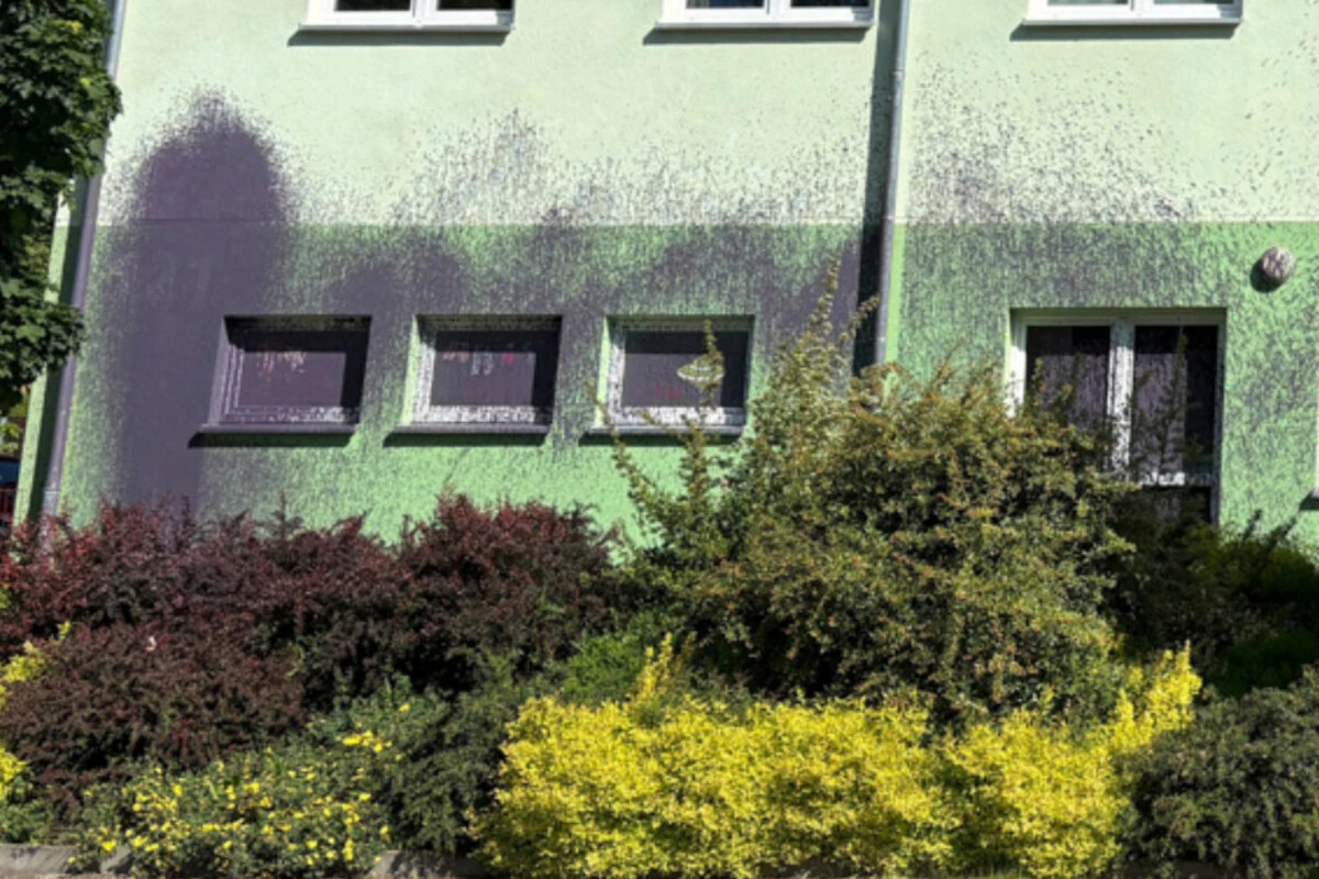 Vereinsgebäude in Chemnitz beschmiert: Polizei sucht nach Zeugen