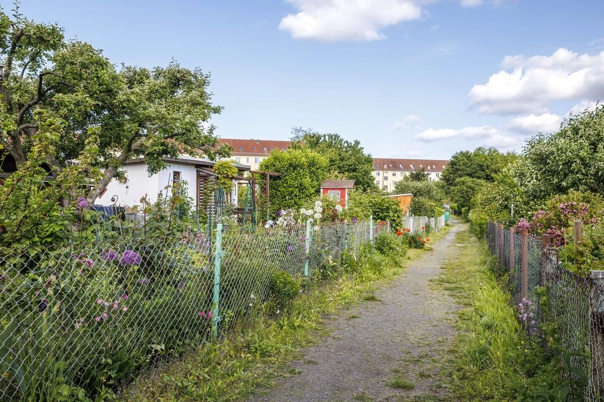 Biotope, Nachbarschaftsfeste, Klimaanpassung: Auf der Spur von Dresdens schönster Gartenanlage