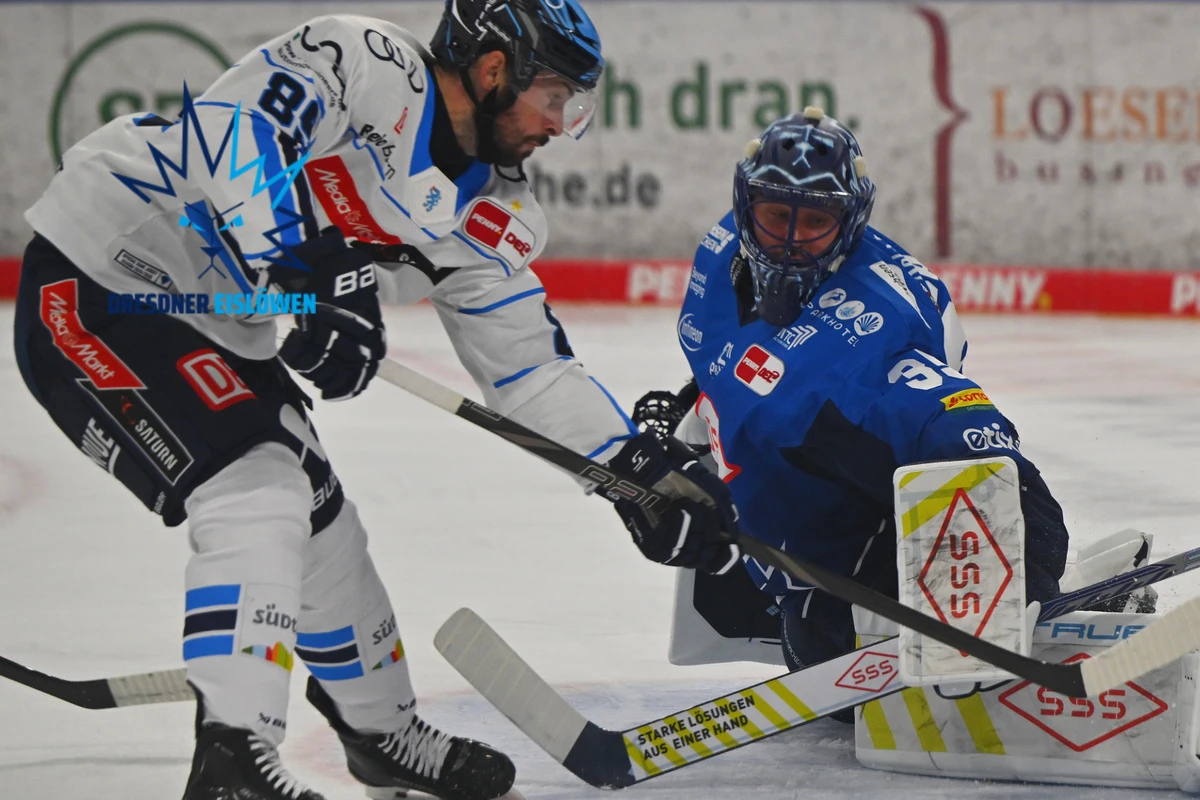 Ist Köln wieder scharf auf Eislöwen-Goalie Hudacek?