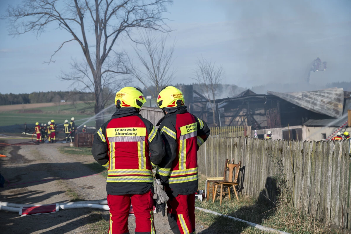 Nach verheerendem Bauernhofbrand: Sind alle Tiere in Sicherheit?