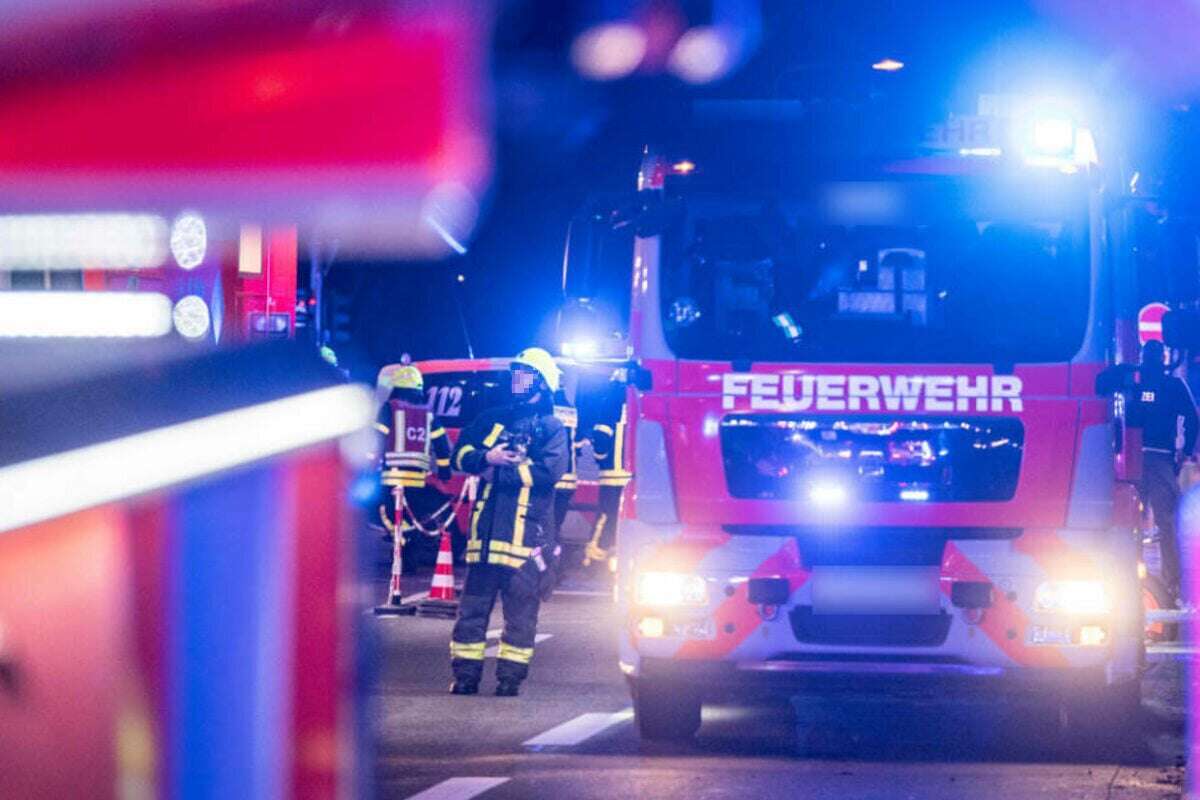 Wohnhaus-Brand in Frankfurt: Feuerwehr rettet Bewohner und Katzen