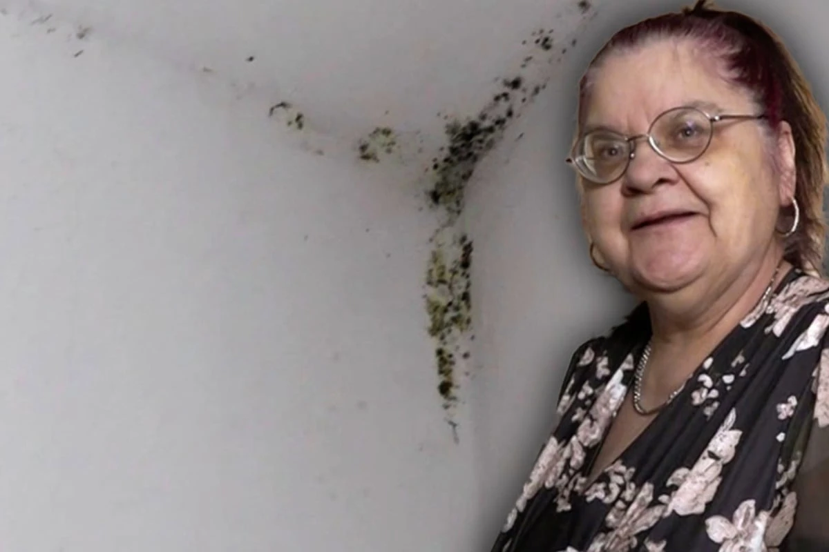 Asthmatikerin Brigitte lebt in Schimmel-Bude: 