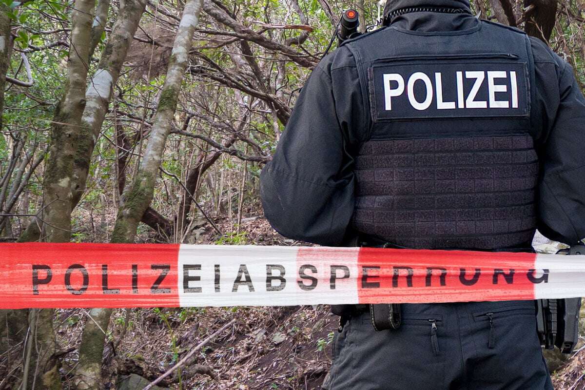 Mann bei Raubüberfall auf Waldweg krankenhausreif geprügelt