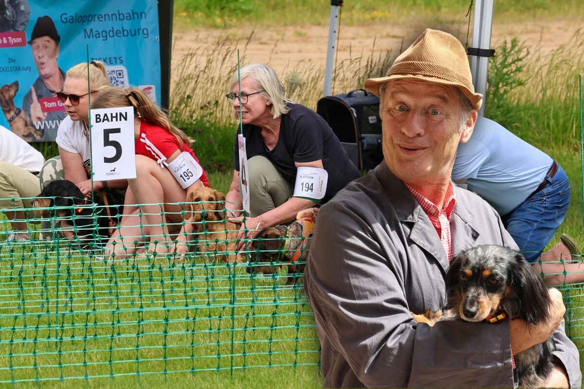 Meisterschaft lockt mehr als 250 Dackel nach Magdeburg
