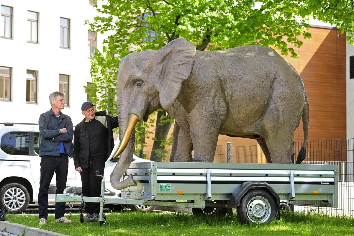 Törööö! Dieser Elefant sorgt in Chemnitz für Aufsehen