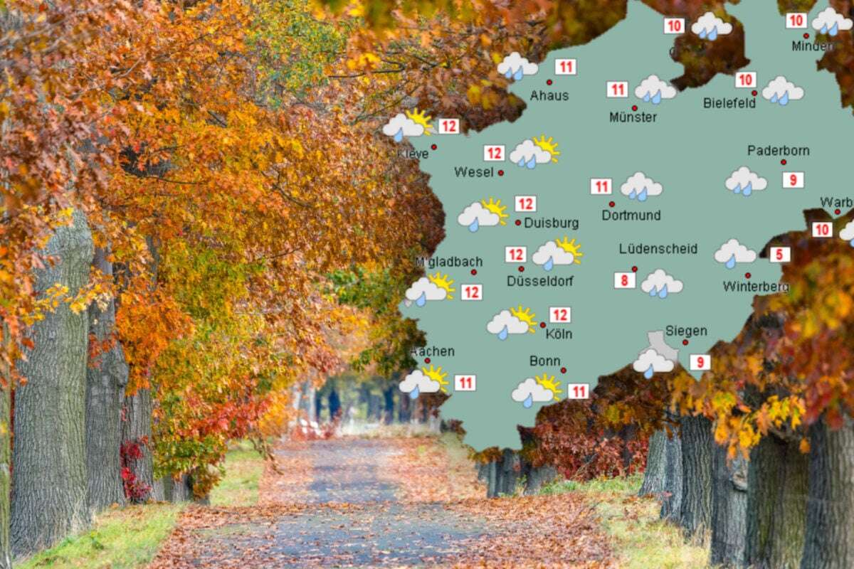 Schmuddeliges Herbst-Wetter in NRW: Darauf könnt Ihr Euch am Wochenende einstellen