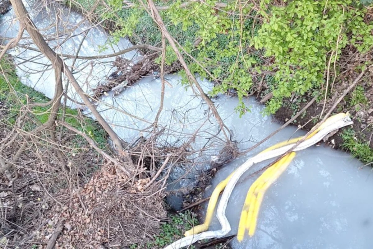 Feuerwehr und Polizei im Einsatz: Wasser des Geberbachs in Leuben plötzlich weiß gefärbt