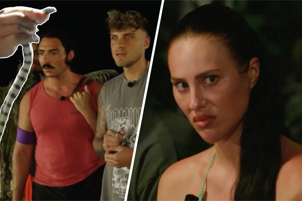 Eklat im TV-Camp: Liebesdrama eskaliert, dann wird’s lebensgefährlich