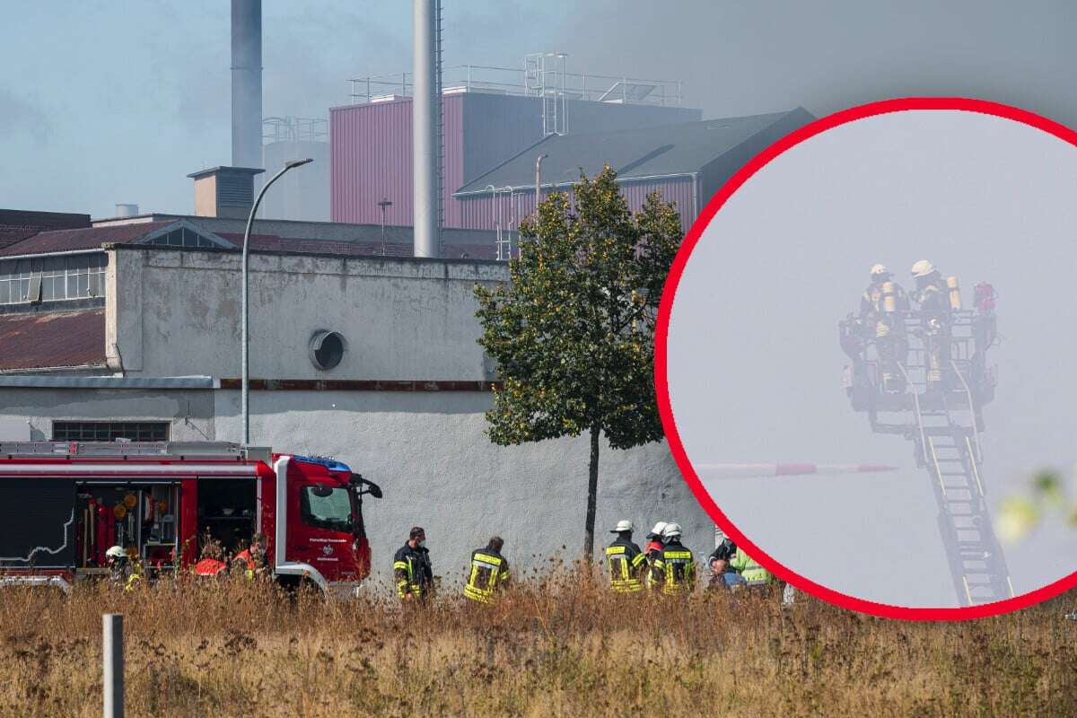 Großbrand mit giftigem Rauch: Einsatzkräfte noch immer gefordert