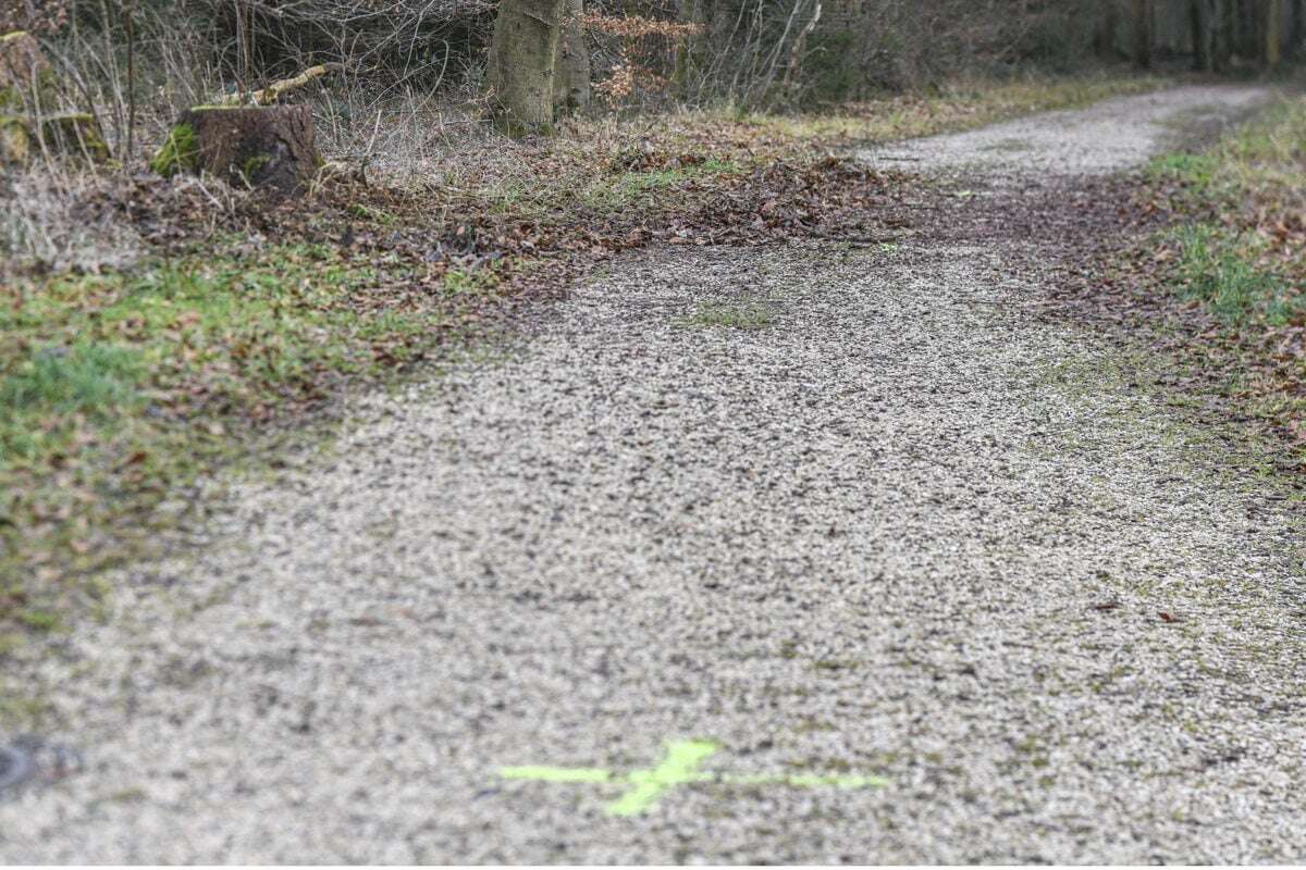 Grausame Tat im Wald: 15-Jähriger hat Freundin erwürgt, jetzt muss er hinter Gitter