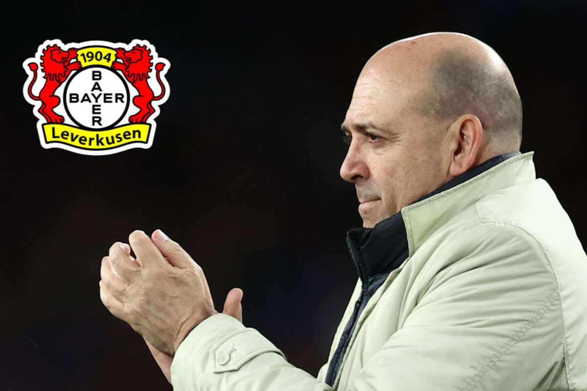 Streit um TV-Gelder: Bayer-04-Boss Carro mit fieser Spitze gegen Traditionsklubs