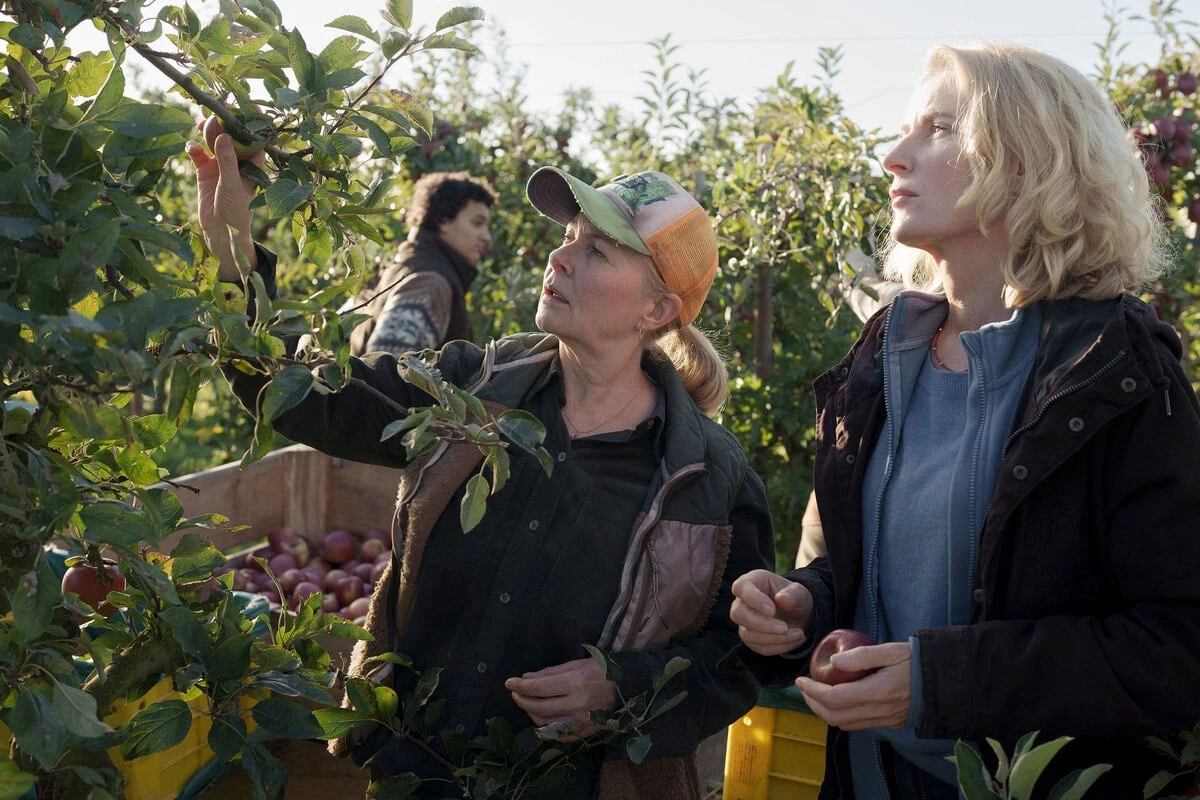 Erntehelfer wird kopflos auf Apfelhof gefunden: 