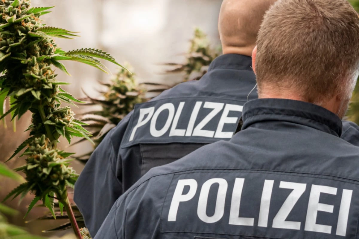 Verrückter Zufalls-Fund: Chemnitzer Polizei entdeckt große Indoor-Cannabis-Plantage