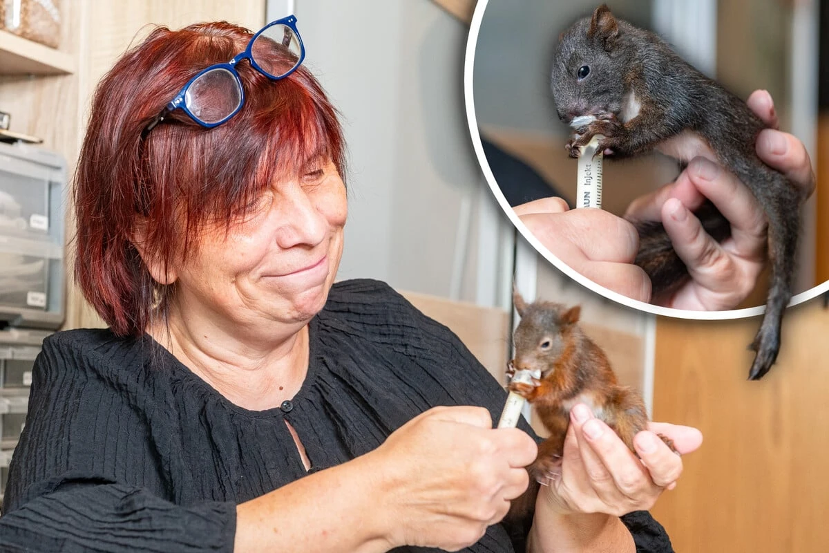 Braucht ein Hörnchen Hilfe, so ist Frau Gräfe sofort zur Stelle