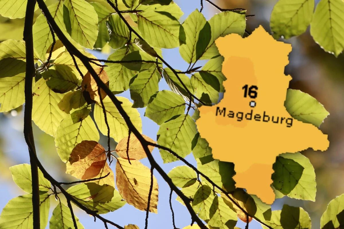 Sachsen-Anhalt in heitere Wetterwoche, doch hier wird es stürmisch