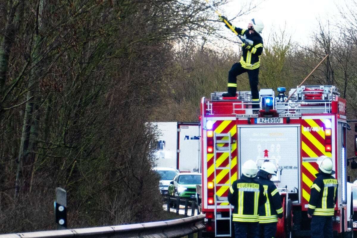 Alarm in Mainz: Sturm lässt Bäume stürzten und zertrümmert Dächer