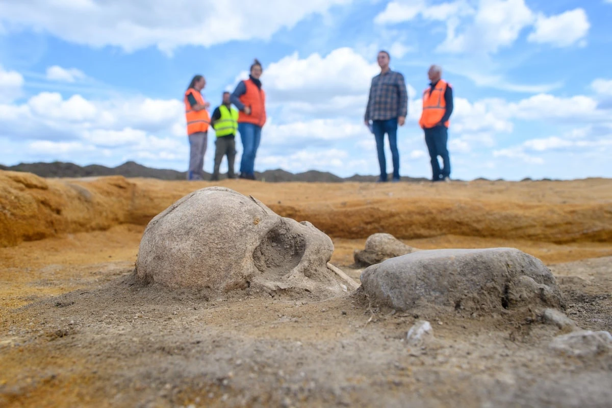 Archäologen machen im Salzlandkreis beeindruckenden Fund aus Bronzezeit
