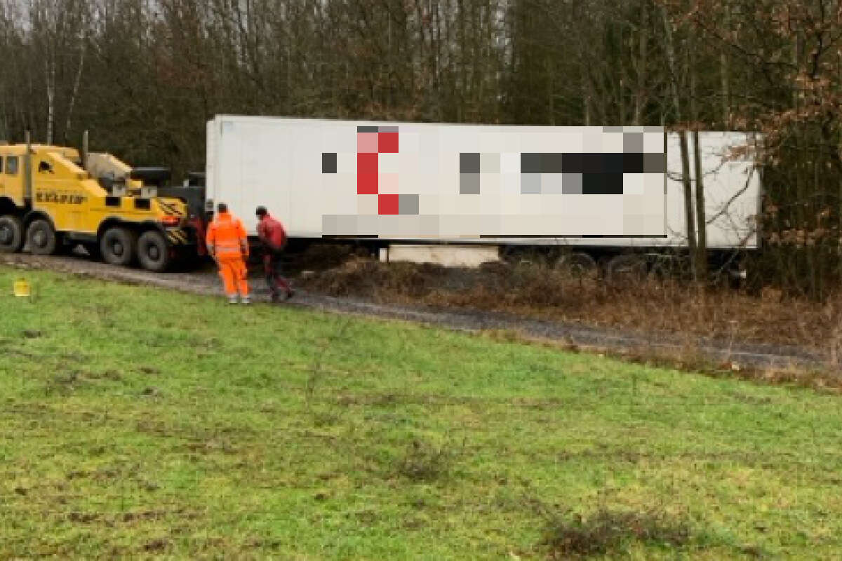 Verkehrsschilder mehrfach ignoriert: Lkw fährt sich in Waldstück fest