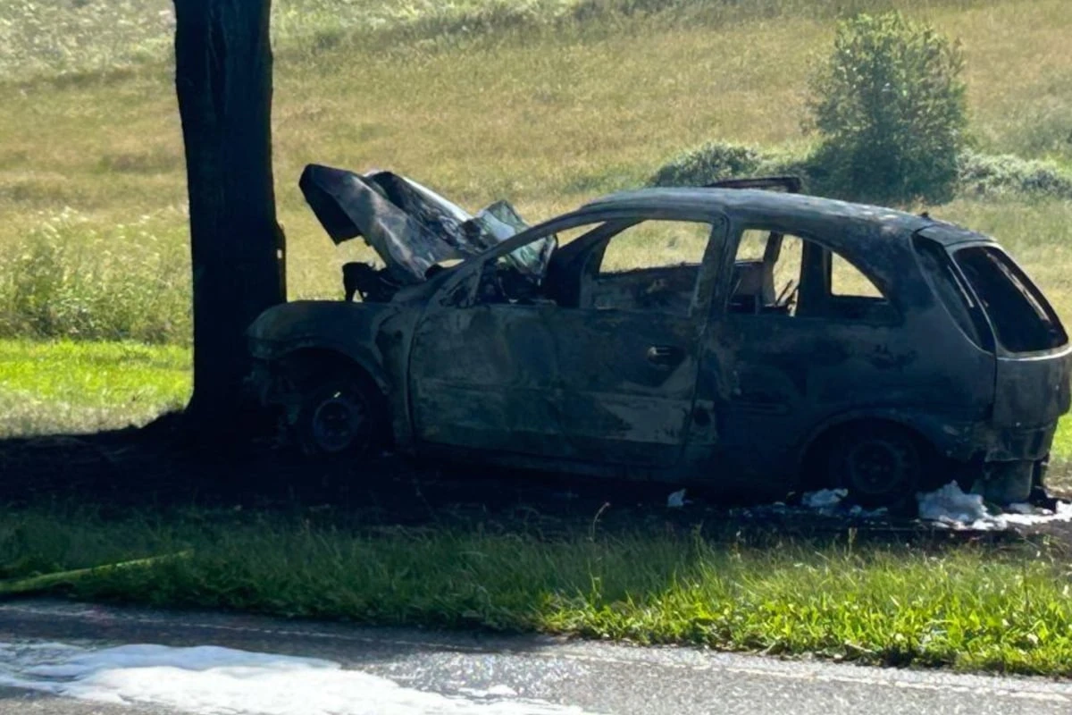 Auto prallt gegen Baum und fängt Feuer: Fahrer stirbt an Unfallstelle