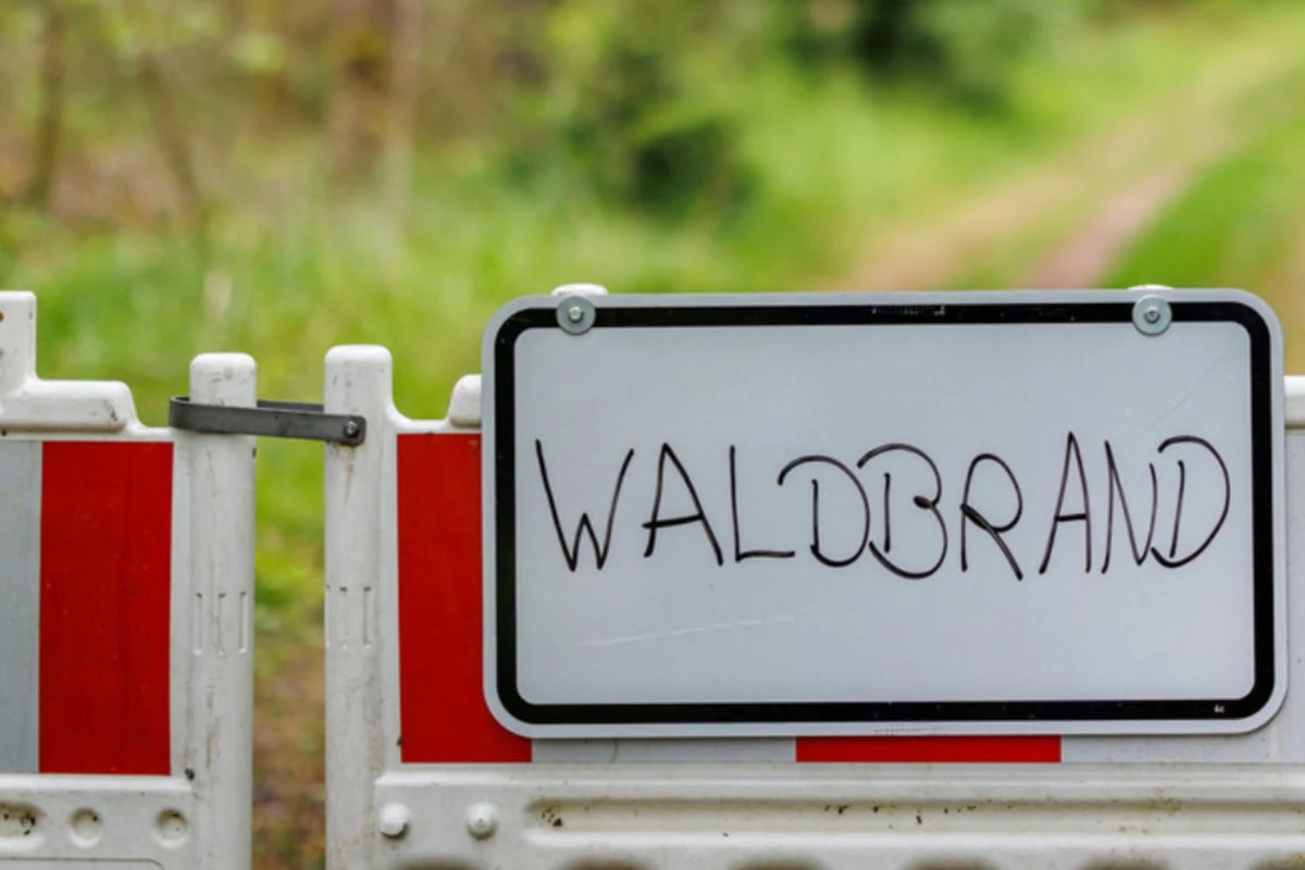 Waldbrandgefahr in Thüringen: Das solltet Ihr beachten
