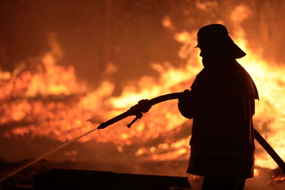 Flammeninferno in Stall: Kälbchen und Kühe sterben