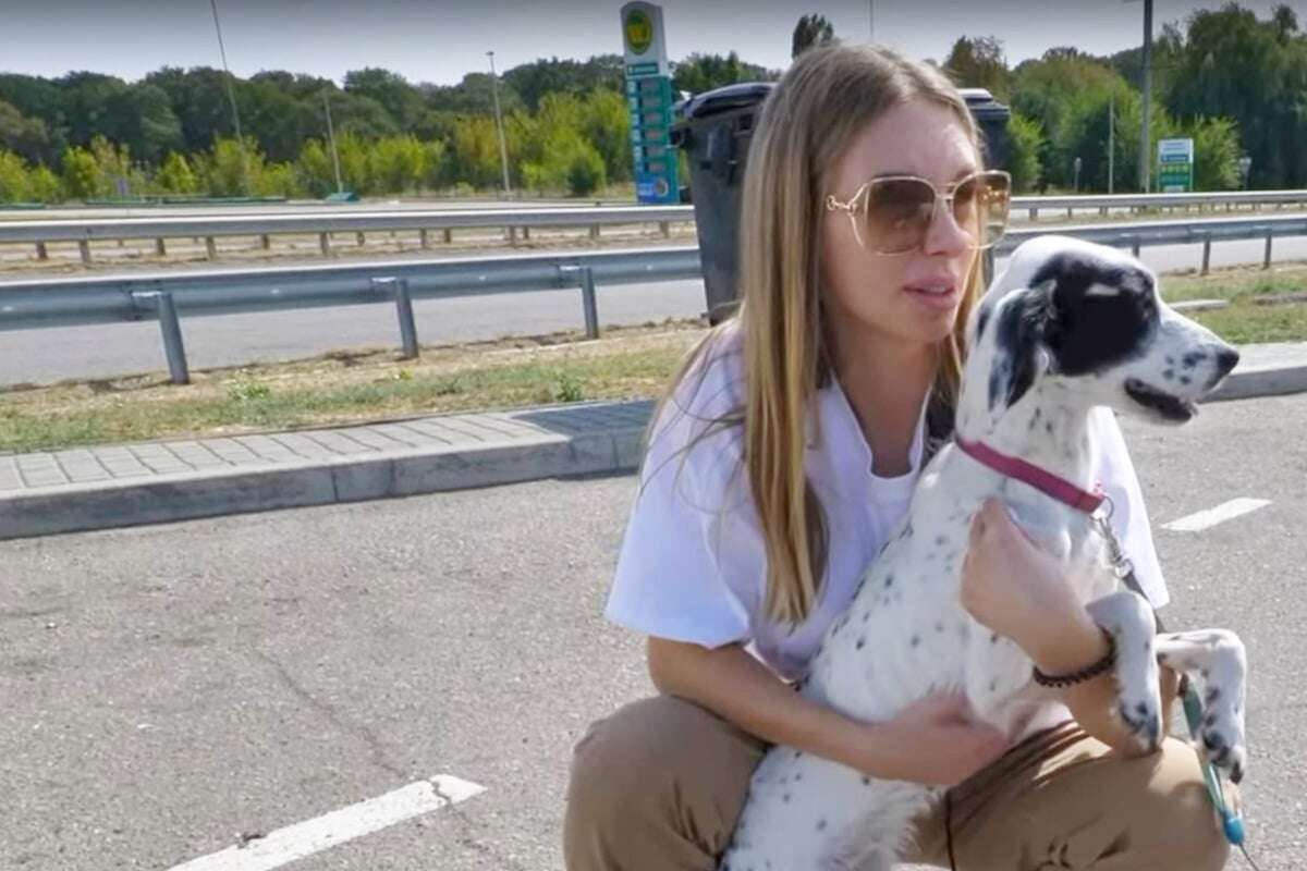 Als Passantin Hund genauer ansieht, greift sie entsetzt zum Telefon