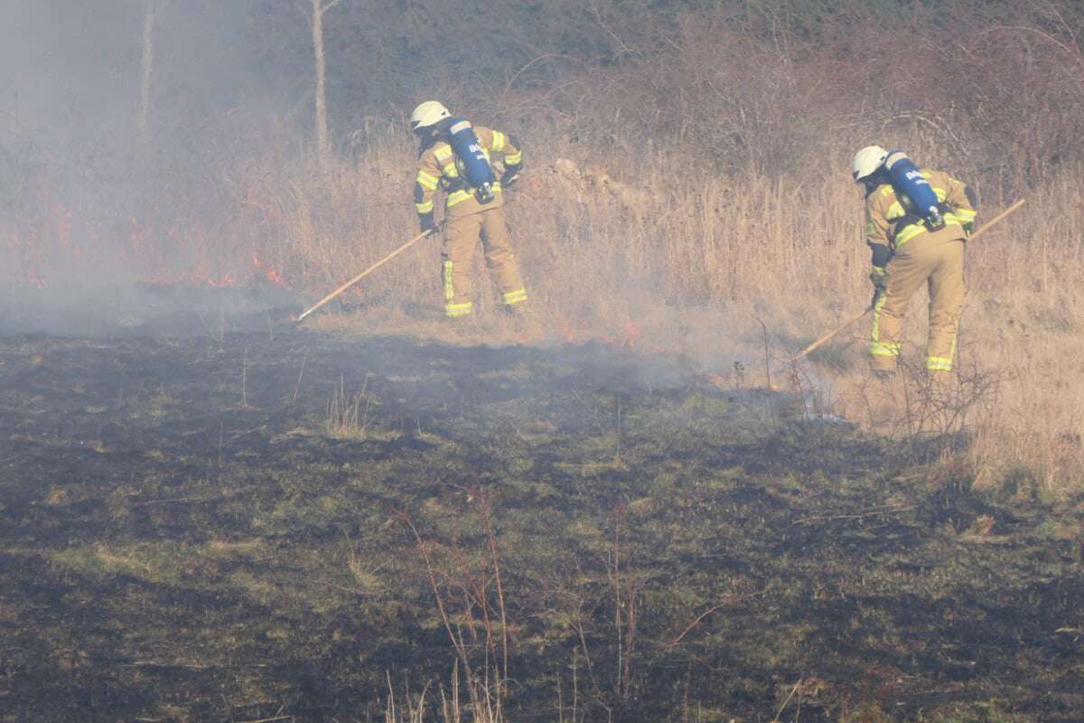 Feld in Sachsen steht plötzlich in Brand: Hat die Trockenheit bereits zugeschlagen?