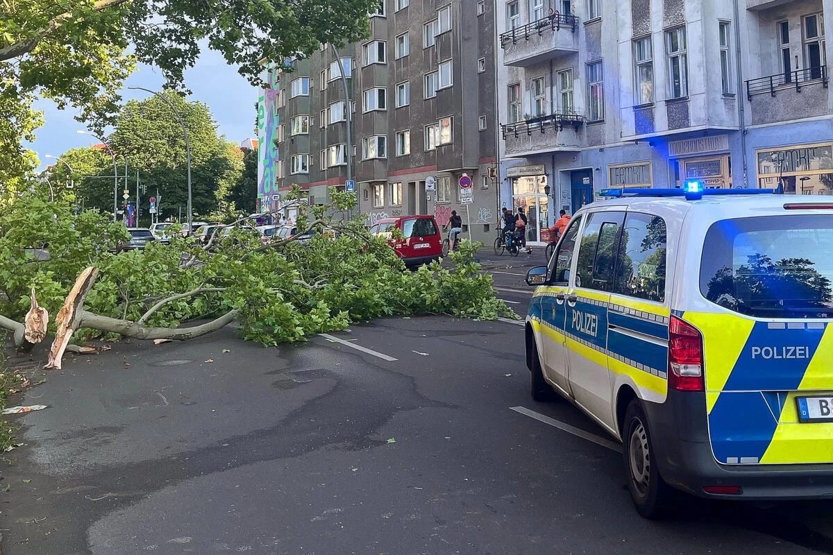 Frau bei Unwetter in Berlin von Baum erschlagen: Chaos in der Hauptstadt