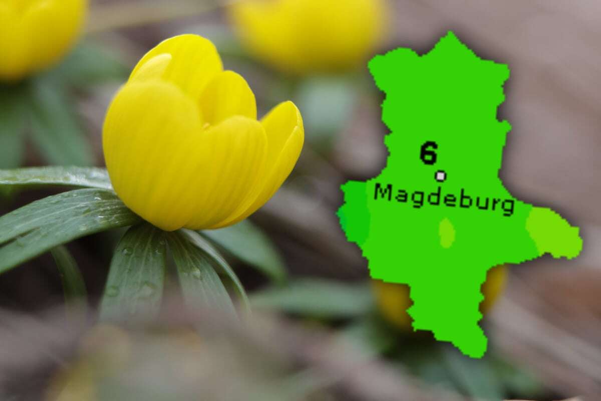 Schmuddel-Wochenende in Sachsen-Anhalt: Dann kommt der Frühling