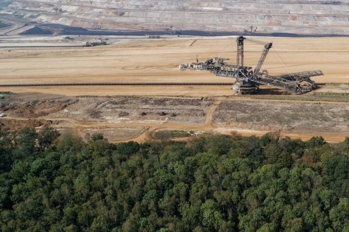 Weichen gestellt: So geht es mit dem Hambacher Forst in Zukunft weiter