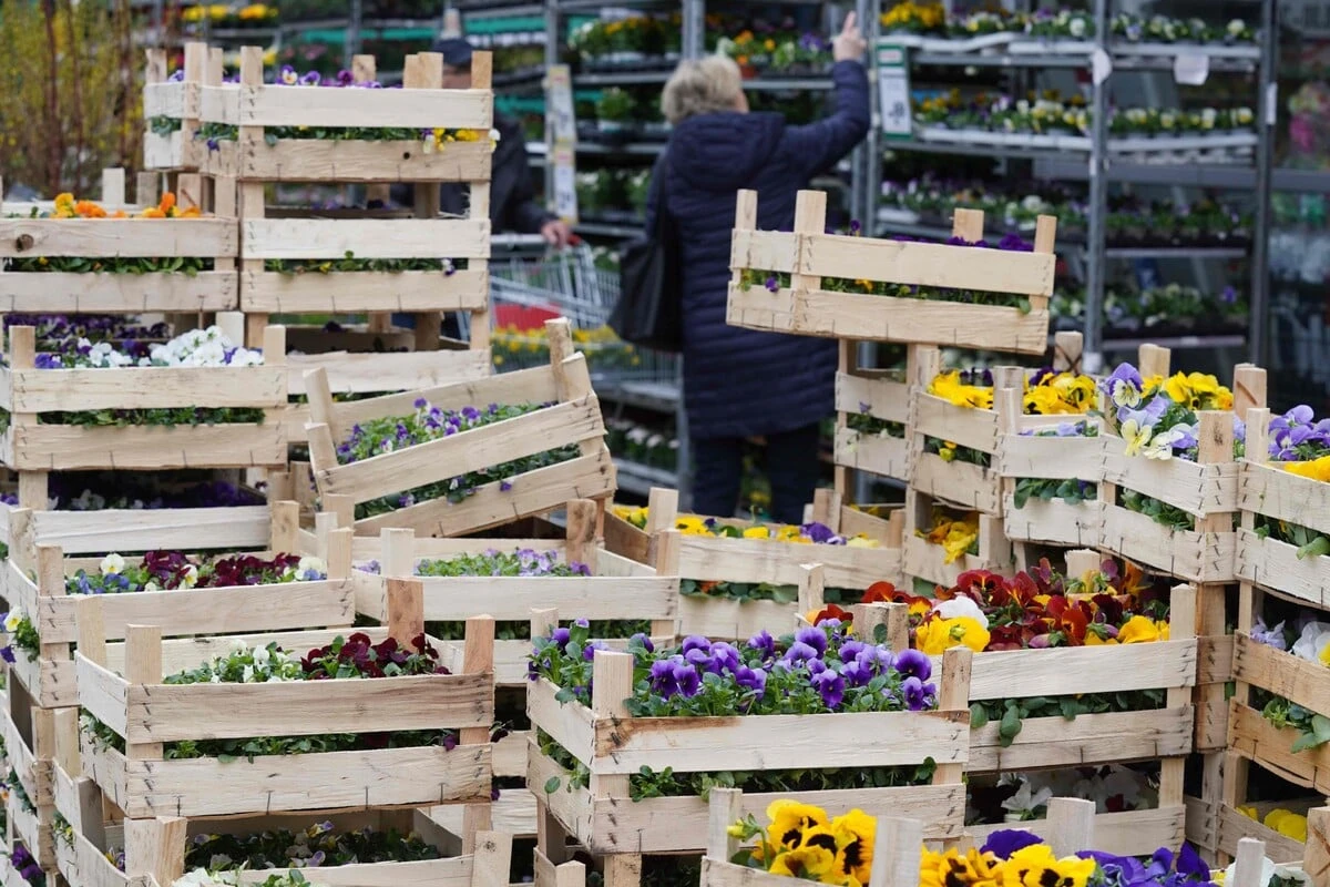 Magdeburger Gartencenter leer geräumt! Wer hat die Diebe gesehen?