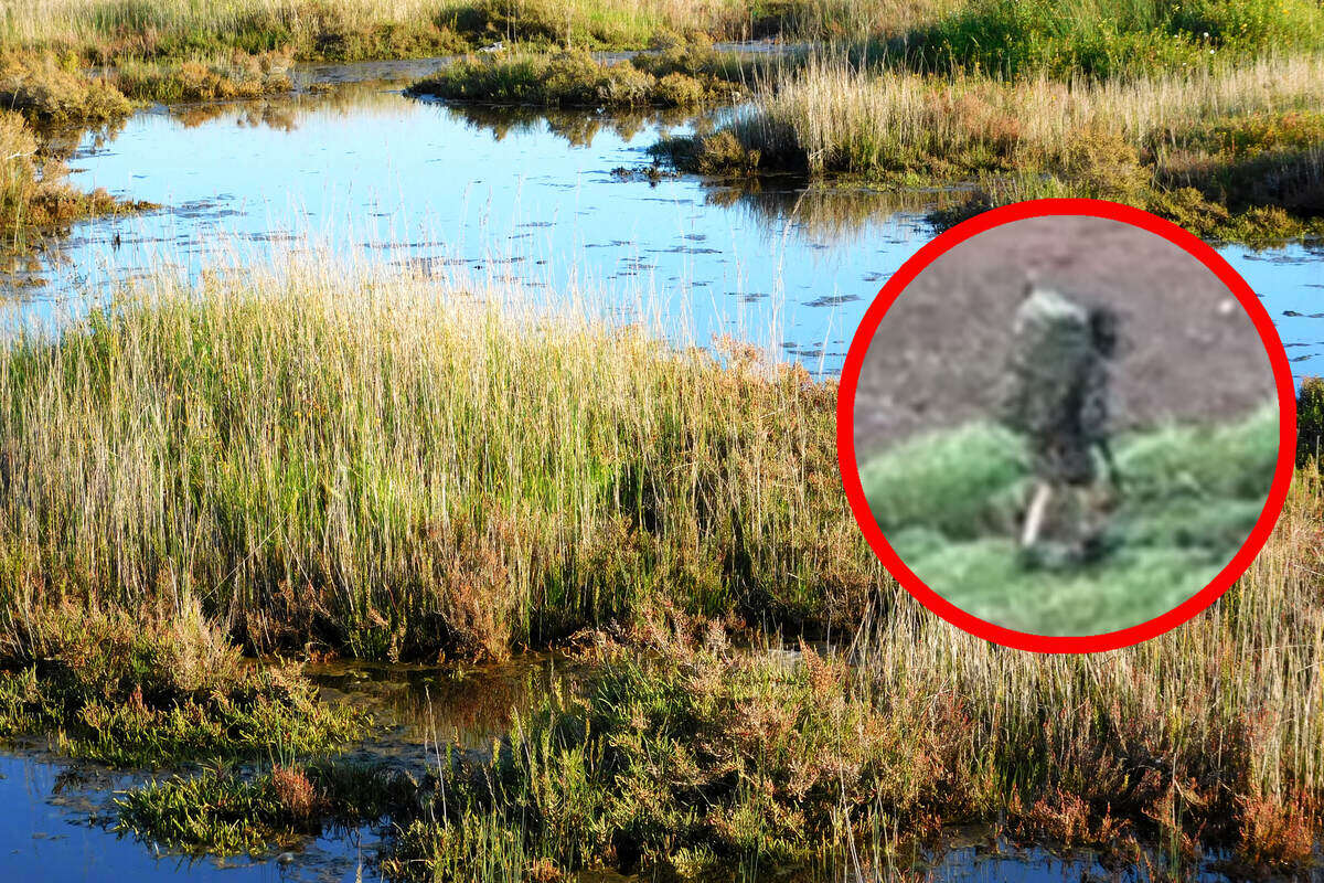 Seit drei Jahren auf der Flucht: Video zeigt Vater, der sich mit Kindern in Wildnis versteckt!