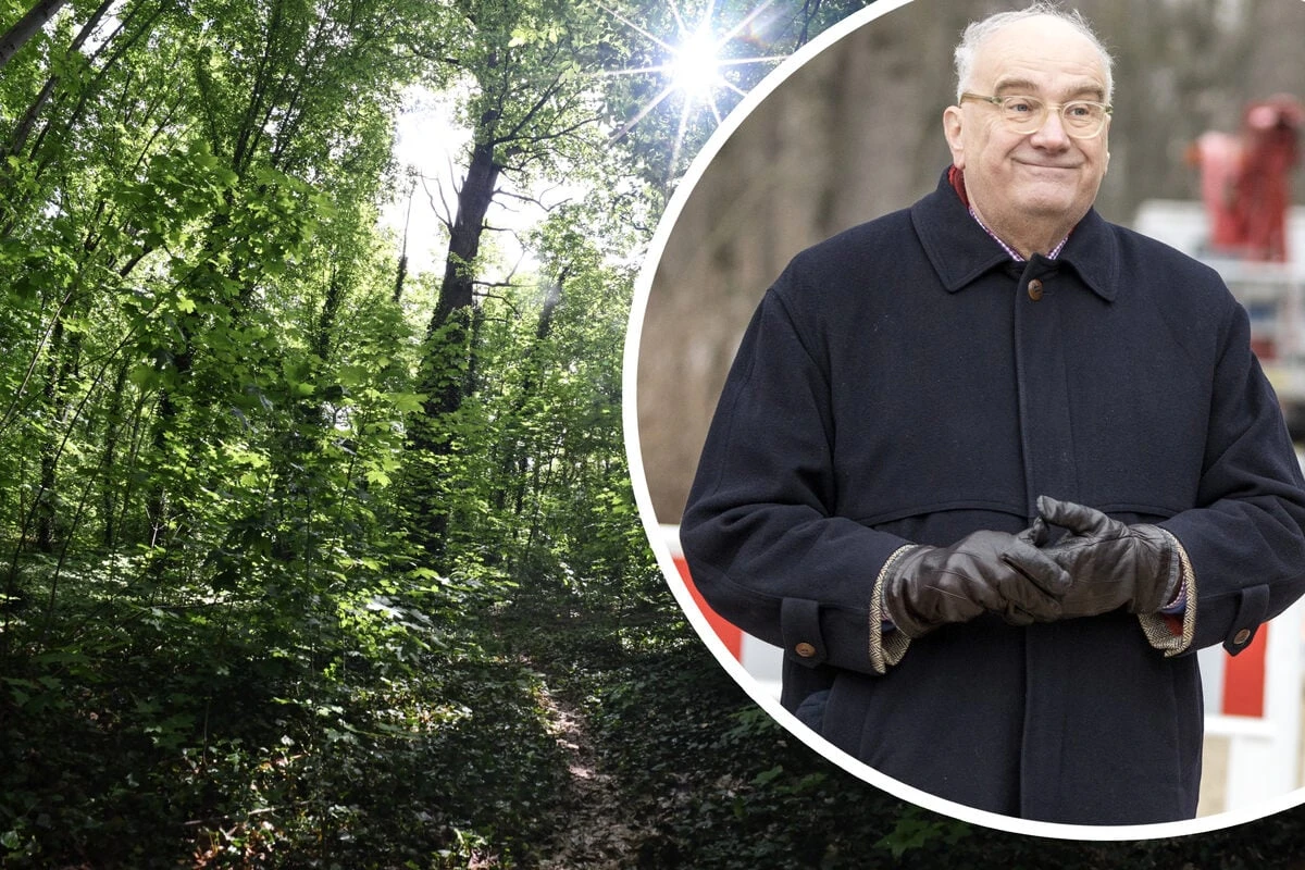 Frau im Großen Garten erschlagen: Warum wurde der Todesfall verschwiegen?
