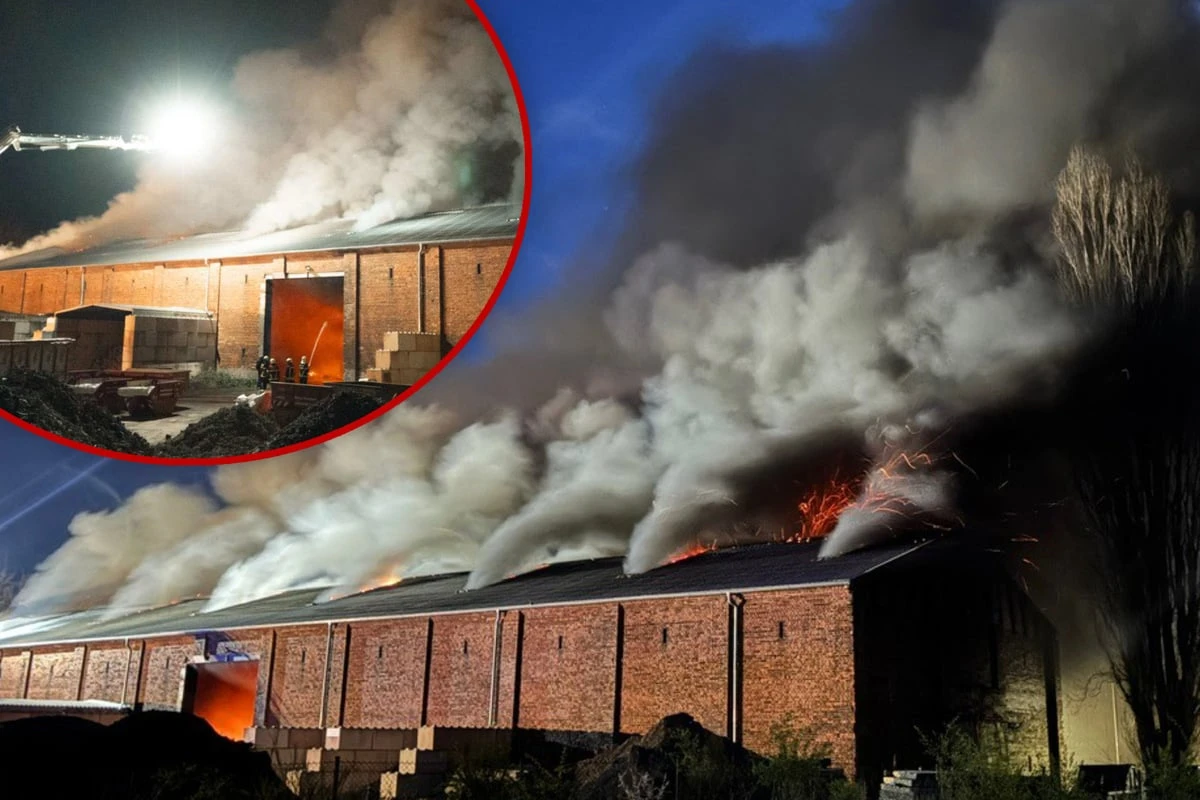 2000 Quadratmeter große Halle in Radebeul brennt lichterloh: Feuerwehr im Großeinsatz!
