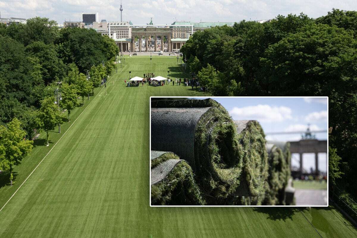 Viel weniger als gedacht: Nicht mal die Hälfte des Fanmeilen-Kunstrasens wiederverwendbar