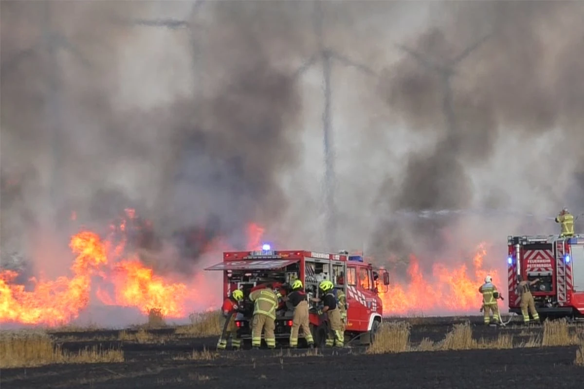 Drehender Wind erschwert Einsatz: Insgesamt 16 Hektar Getreide verbrennen