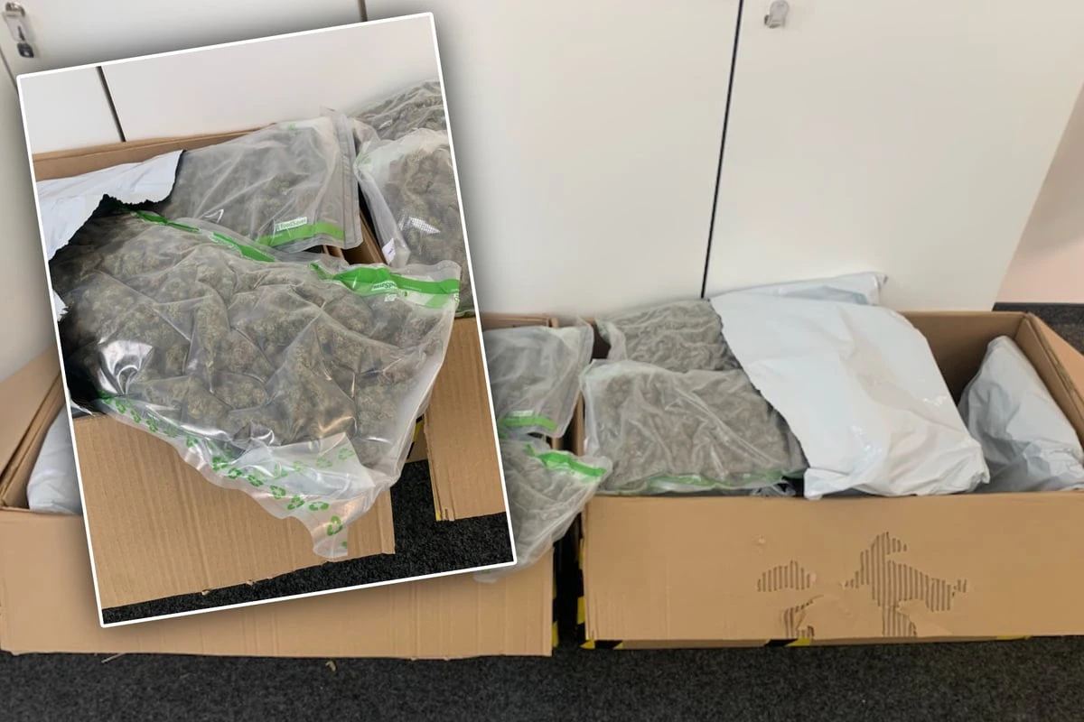Gras-Opa will 19-Kilo-Marihuana-Paket abholen, dann folgt böse Überraschung