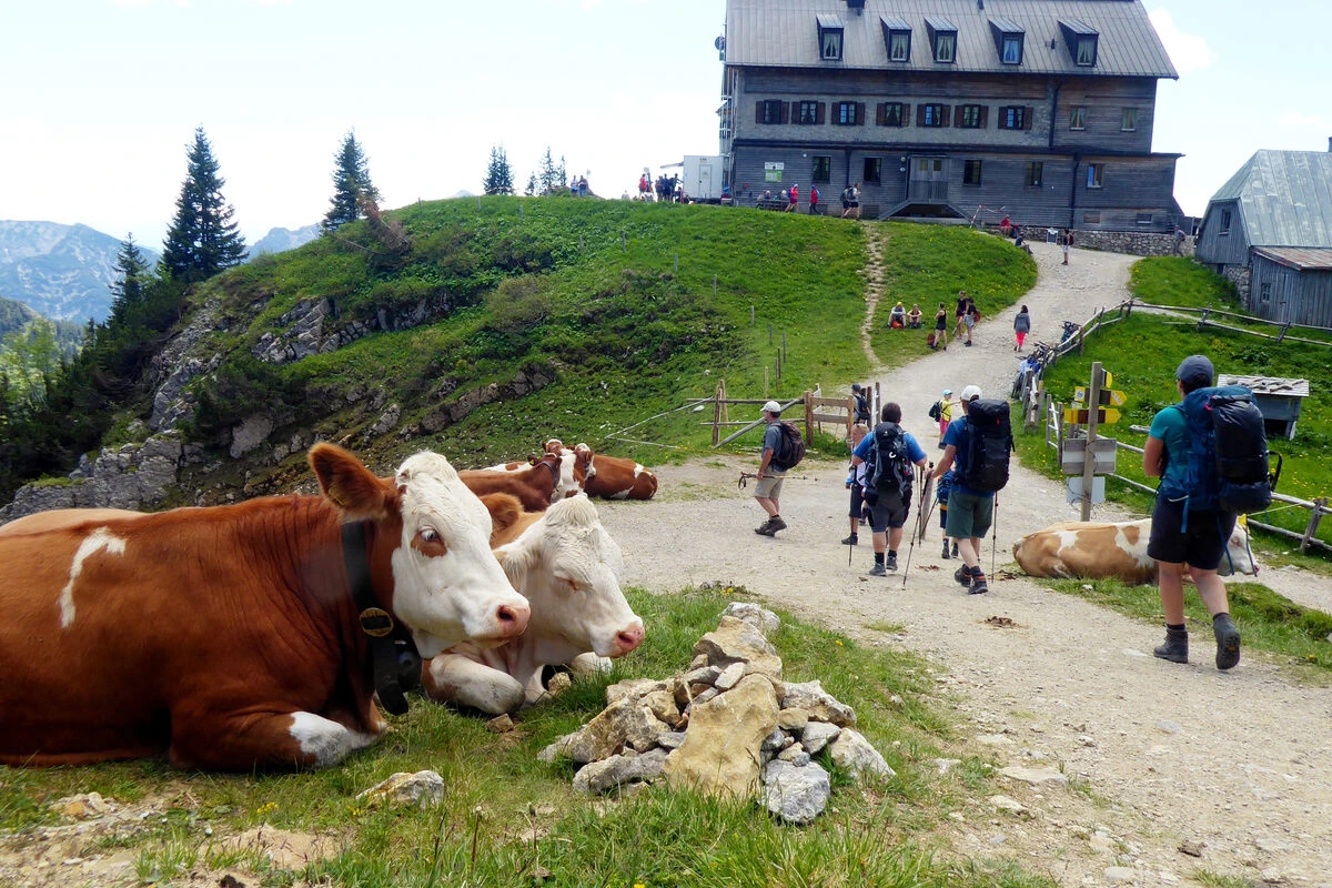 Fristlose Kündigung! Wanderer stehen vor verschlossenem Rotwandhaus